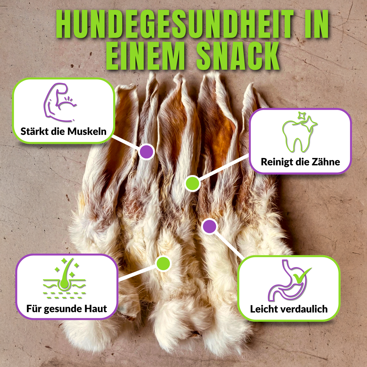 Kaninchenohren mit Icons zu Zahnpflege, Muskelaufbau und Verdauung.
