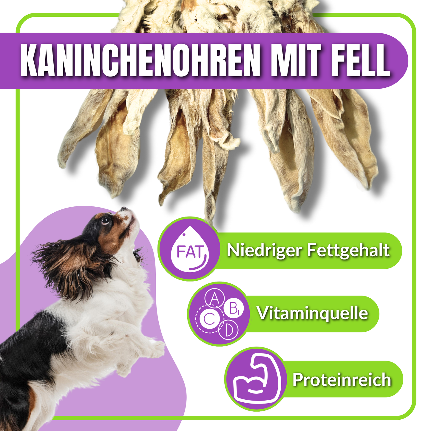 Kaninchenohren mit Fell, Text über niedrigen Fettgehalt und Vitamine.