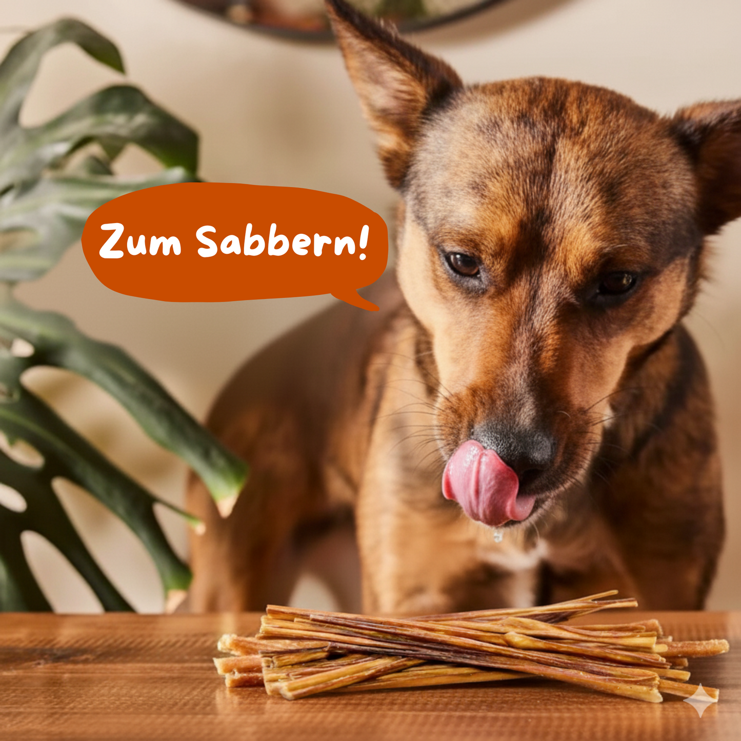 Hund leckt sich die Lippen vor einem Stapel Kauspaghetti Kausnacks auf Holztisch, dazu Sprechblase „Zum Sabbern!“ – natürlicher, artgerechter Kauspaß für Hunde.