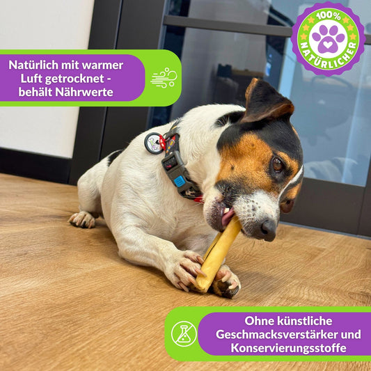 Hund kaut Kauartikel, Text über natürliche Trocknungsmethode.