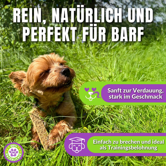 Fleischstreifen für Hunde 10 Stück (13–15 cm)