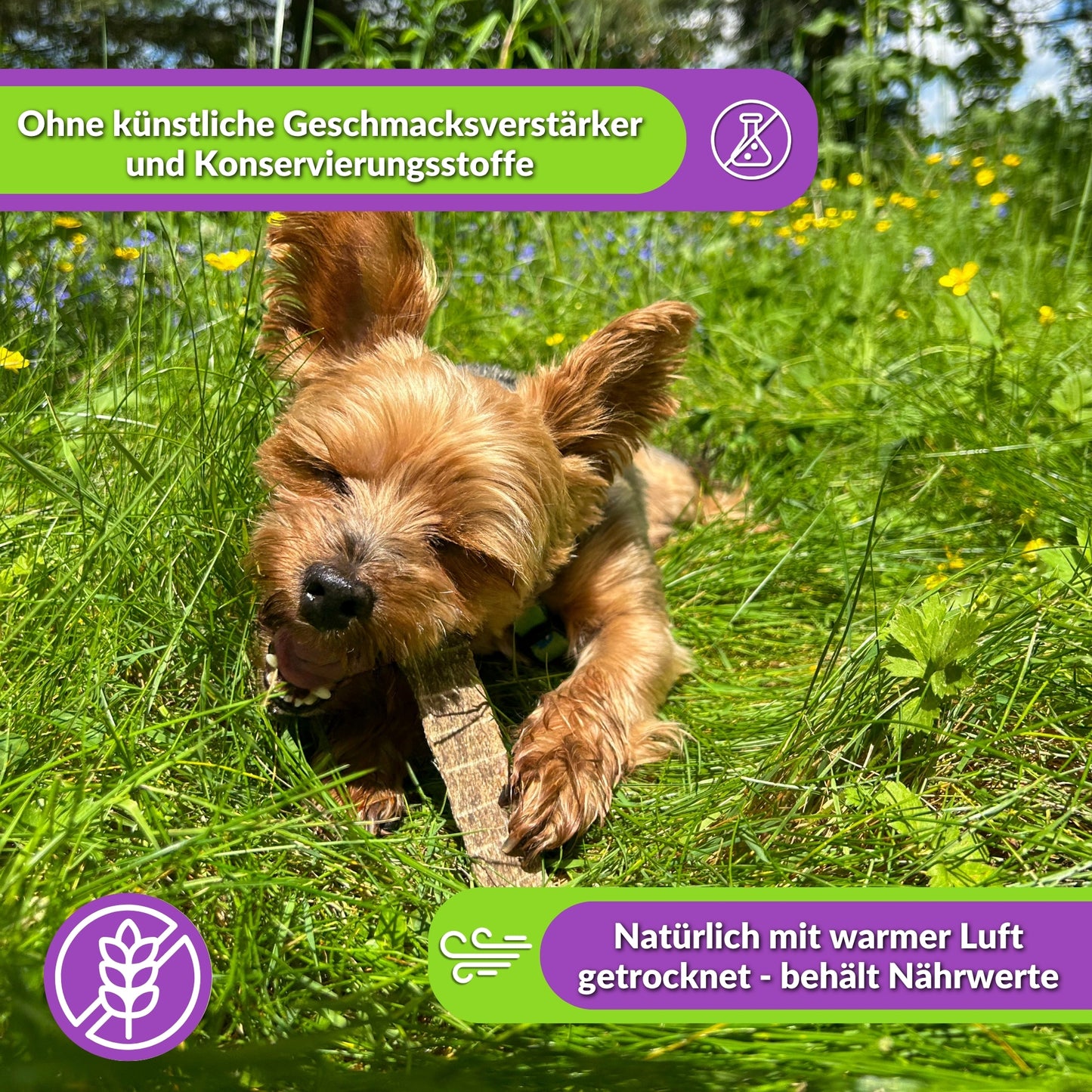 Fleischstreifen für Hunde 10 Stück (13–15 cm)