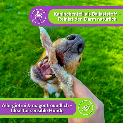 Hund frisst Kaninchenohr mit Fell, Text über Ballaststoffe und Allergiefreiheit.
