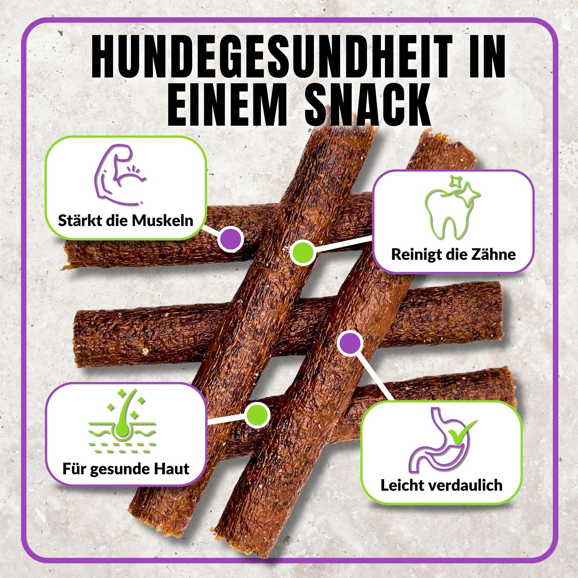 Hundezigarren mit Icons für Zahnpflege, Verdauung und Muskelaufbau.
