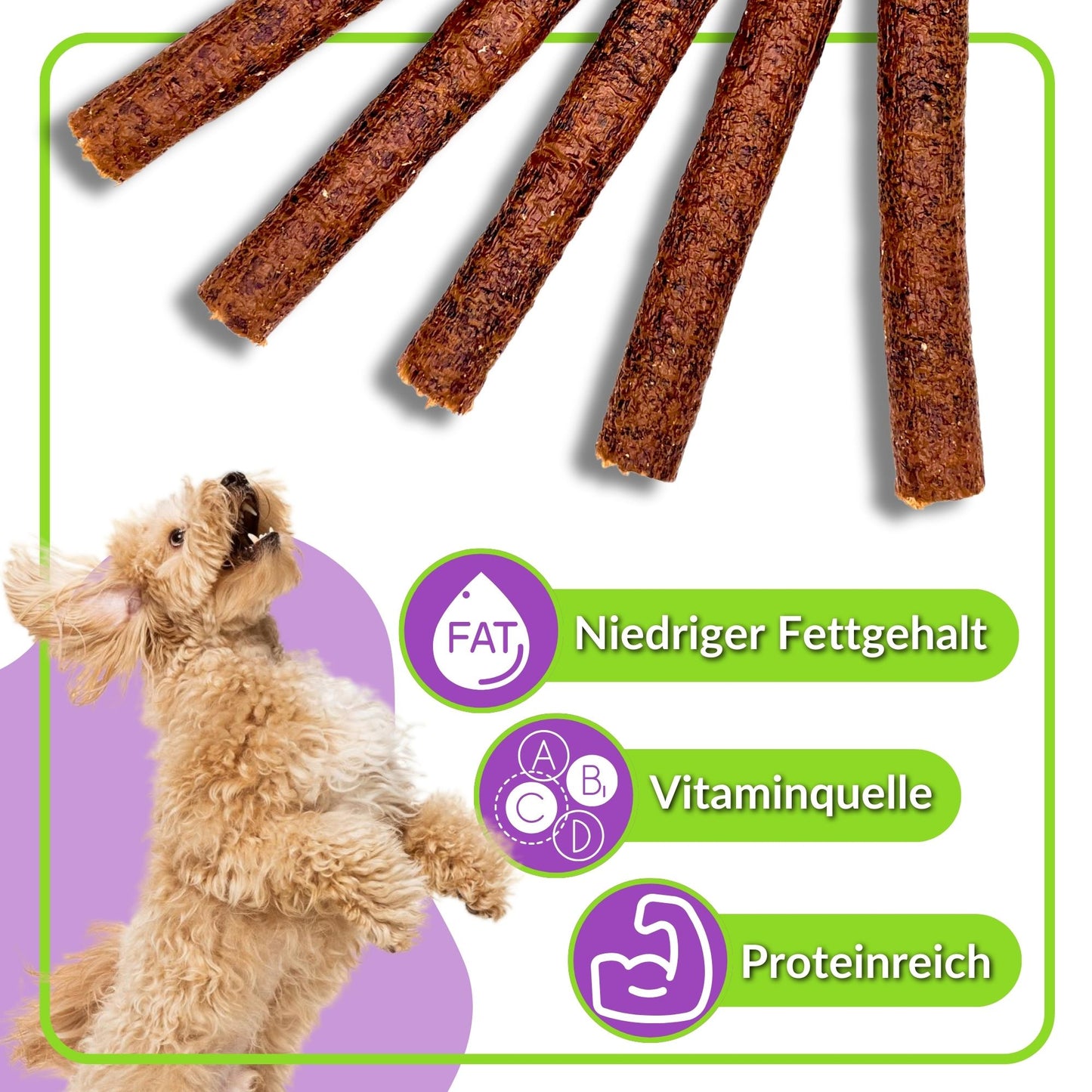 Hundezigarren mit Icons für niedrigen Fettgehalt und Vitamine, Hund springt freudig.