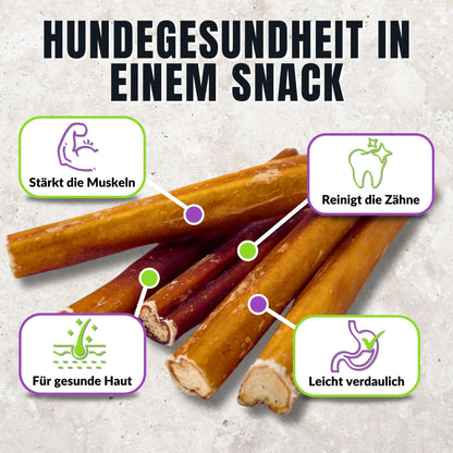 Kauartikel aus Ochsenziemer mit Icons zu Zahnpflege und Muskelaufbau.
