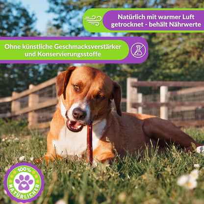 Hund auf Wiese kauend, Text über natürliche Trocknung und Nährstoffe.