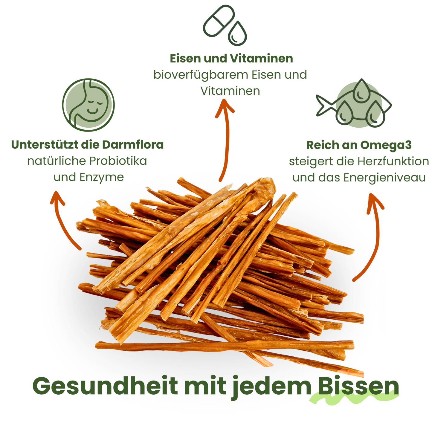 Kauspaghetti-Haufen mit Icons. Vorteile: unterstützt Darmflora, reich an Eisen, Vitaminen und Omega-3. Gesundheit mit jedem Bissen.