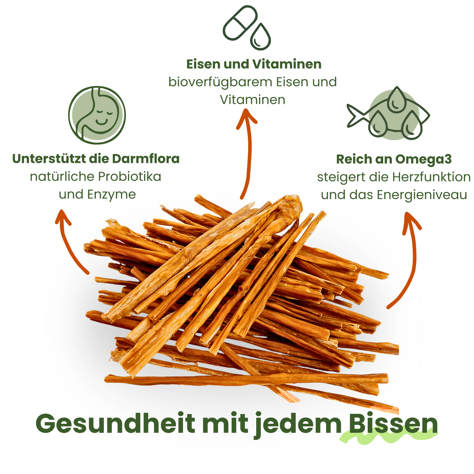 Kauspaghetti-Haufen mit Icons. Vorteile: unterstützt Darmflora, reich an Eisen, Vitaminen und Omega-3. Gesundheit mit jedem Bissen.