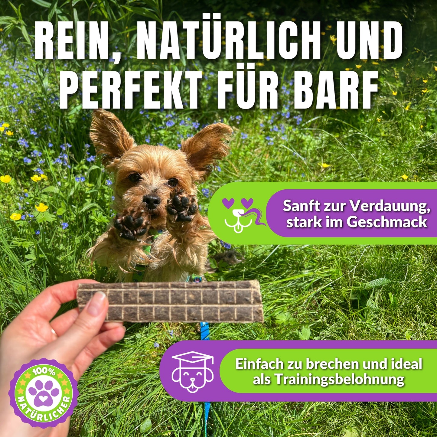 Naturbiss Belohnungsbox