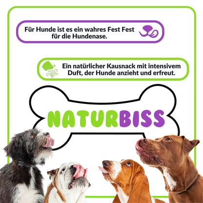 Hunde lecken sich die Schnauze vor einem Knochen mit "Naturbiss"-Logo.
